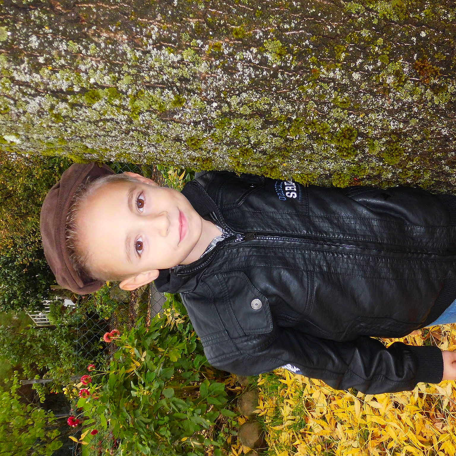 Elisio