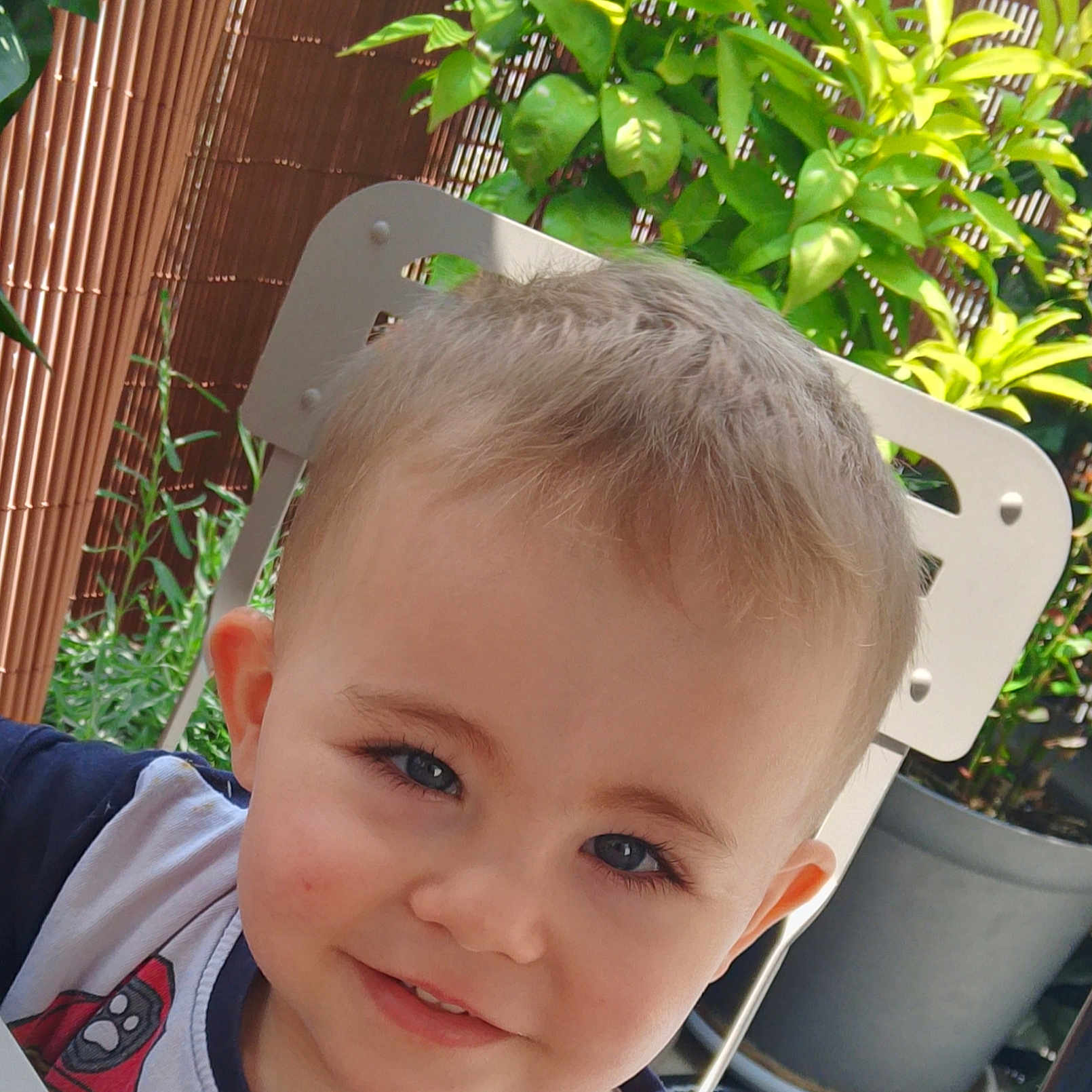 Mylan