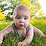 baby, infant, grass, outdoor, sunlight, nature, green, tank_top, person, portrait, child, face, eyes, hands, summer, crawling, cute, young, curious, daylight