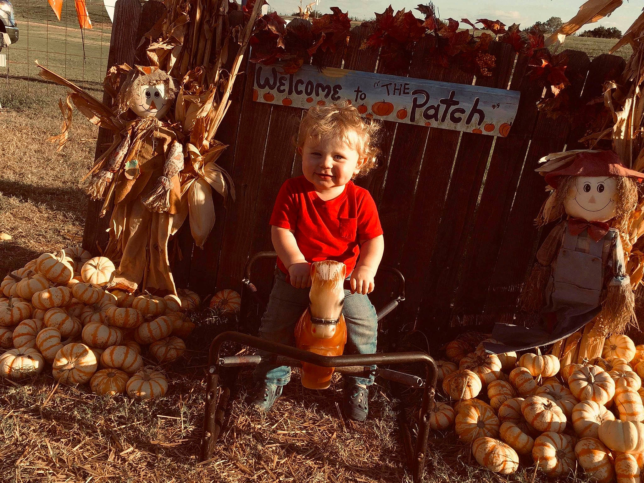 Ayven joined the competition — help win amazing prizes! adaptation, child, gourd, joy, local_food, person, plant, pumpkin, vegetable, vegetarian_food