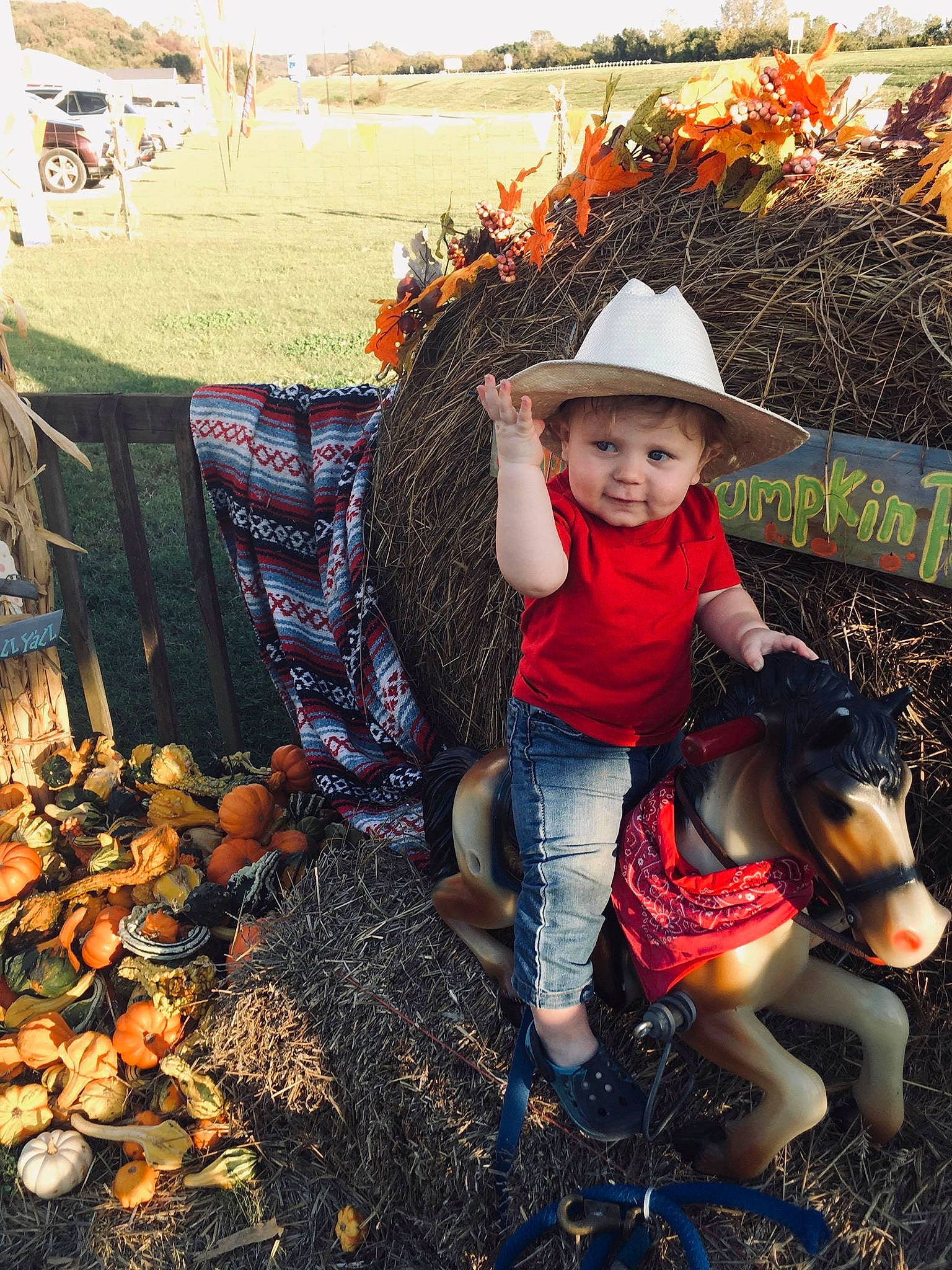 Ayven joined the competition — help win amazing prizes! autumn, chicken, child, grass, hat, headgear, headwear, leaf, person, plant, pumpkin, toddler, tree