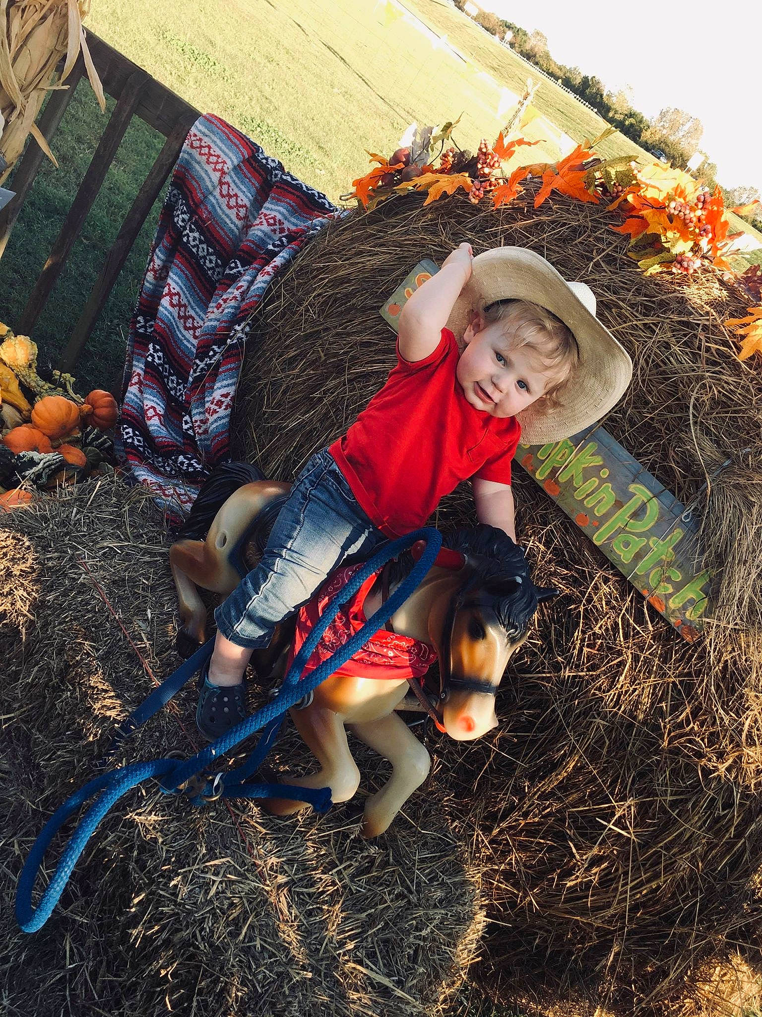 Ayven is registered to the contest to win money with this photo: autumn, child, costume, grass, leaf, person, photography, plant, smile, soil, tree, wood