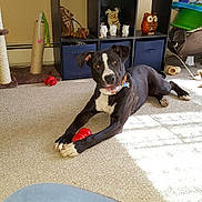 Kaiser is registered to the contest to win money with this photo: