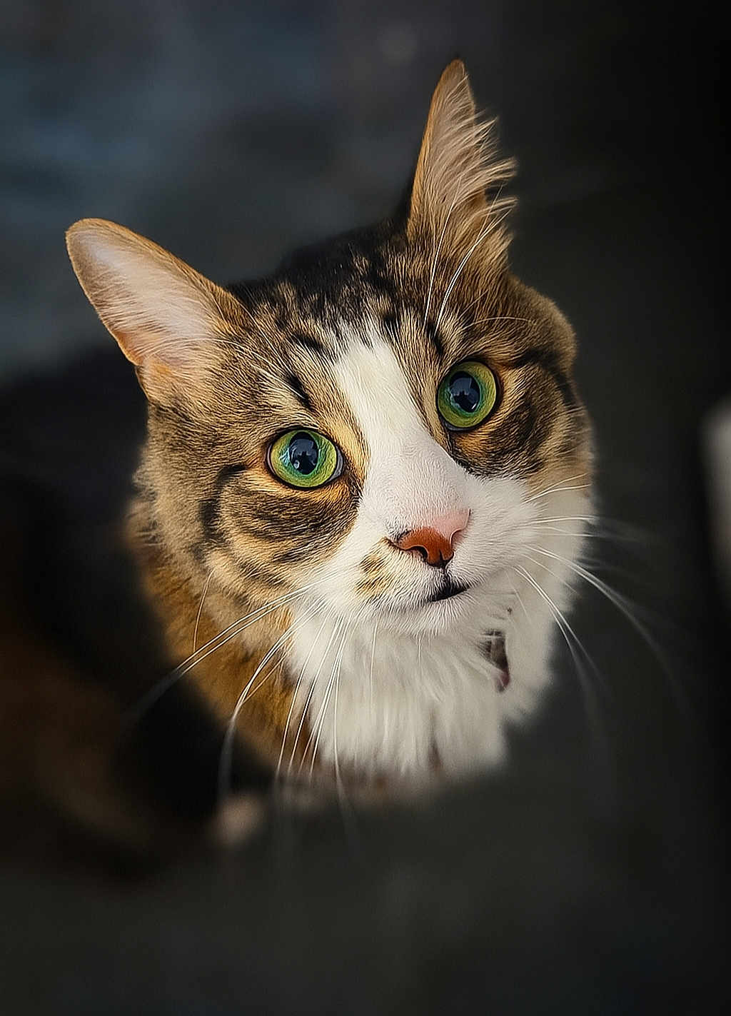 Sexy Boy