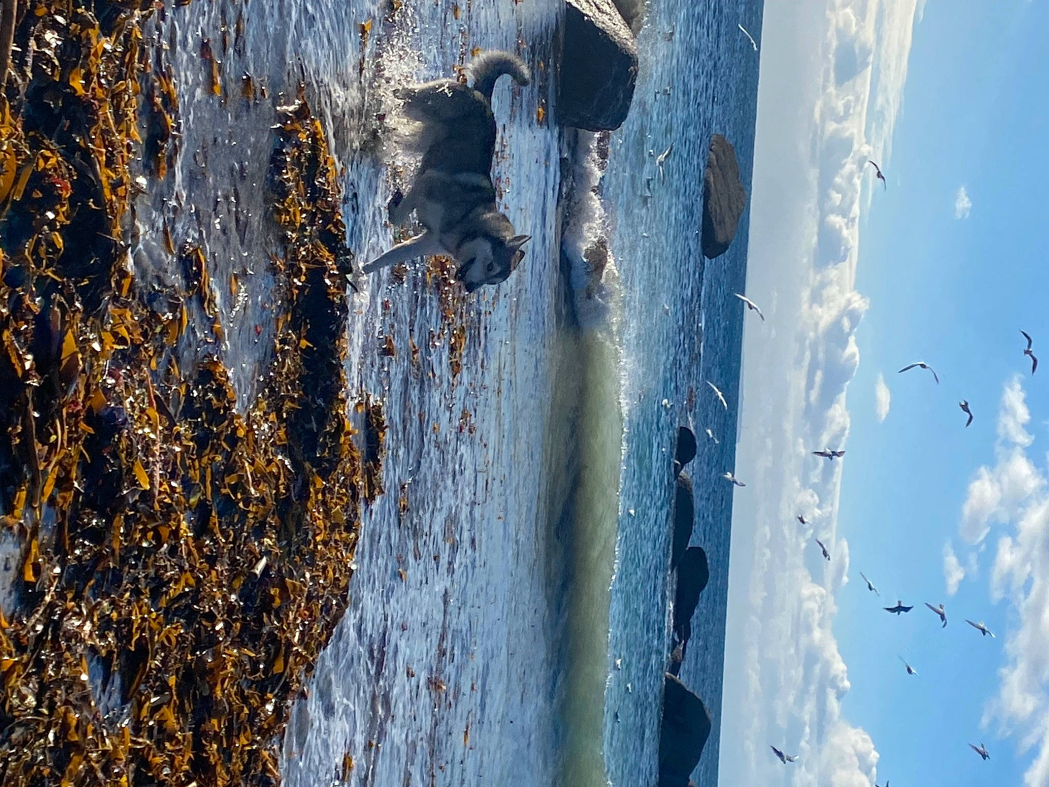 Ravus participe au concours pour gagner de l'argent avec cette photo : azure, cloud, daytime, formation, freezing, geological_phenomenon, line, morning, plant, reflection, sky, space, sunlight, tints_and_shades, trunk, wall, water, window, winter, wood