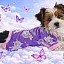 dog, puppy, cute, unicorn_pajamas, purple_clothing, butterflies, clouds, dreamy, pastel_colors, fluffy, pet, portrait, edited_background, studio_photo, big_eyes, fur, lying_down, playful, whimsical, adorable
