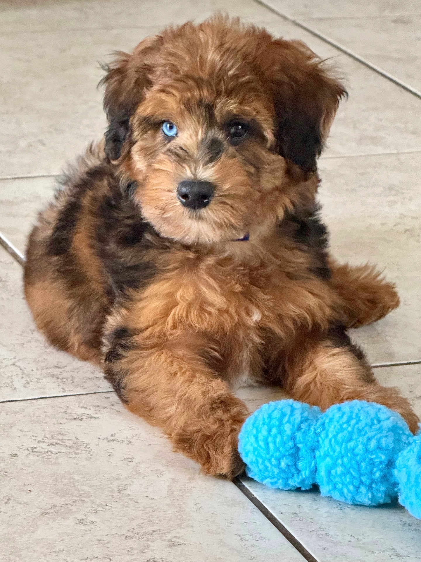 Cooper
