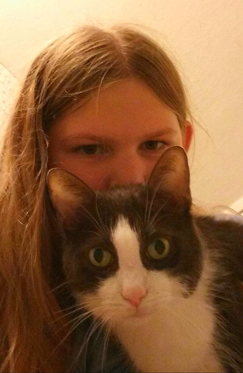 Turner joined the competition — help win amazing prizes! brown_hair, carnivore, cat, domestic_long_haired_cat, domestic_short_haired_cat, ear, eye, face, felidae, fur, hair, hairstyle, iris, kitten, long_hair, norwegian_forest_cat, nose, person, small_to_medium_sized_cats, snout