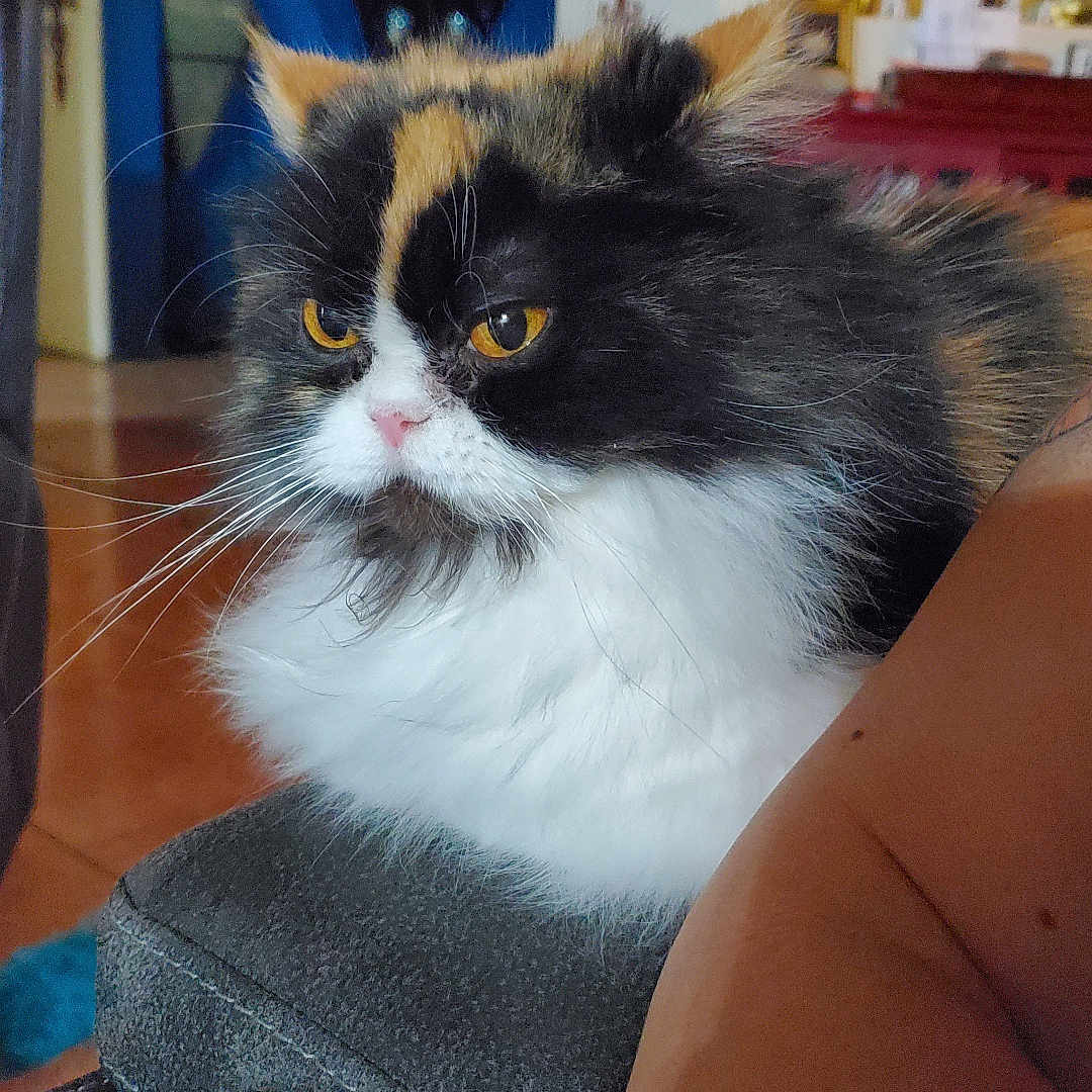 Big Girl