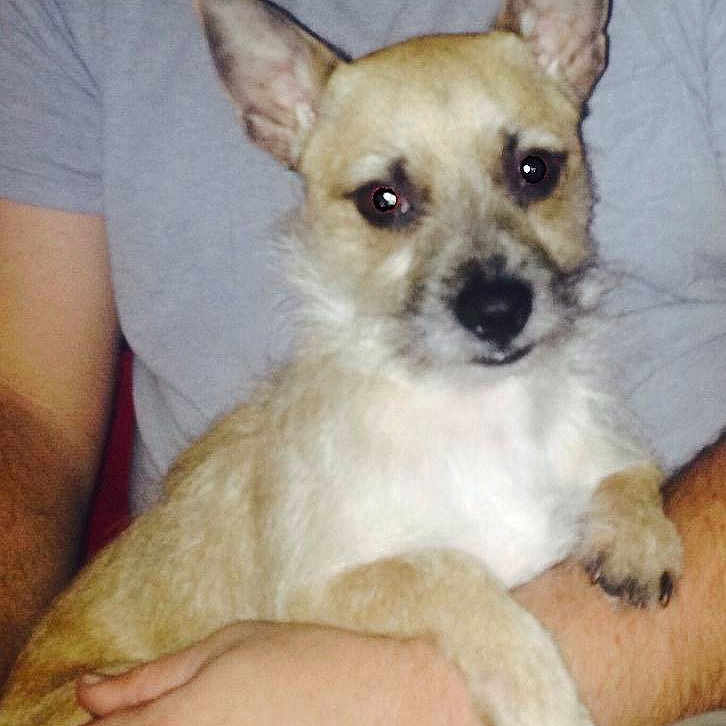 Ranger is registered to the contest to win money with this photo: