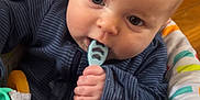 Bo joined the competition — help win amazing prizes! baby, child, infant, blue_eyes, spoon, baby_seat, colorful, toy, hand, clothing, indoor, face, cute, sitting, playtime, head, chewing, fabric, closeup, person