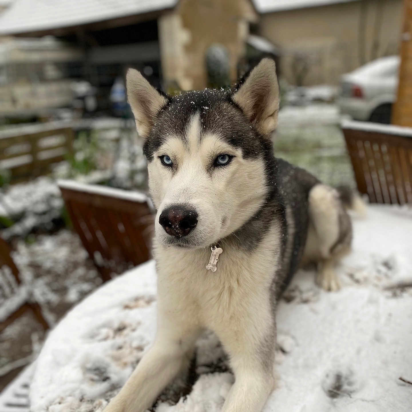 Snow