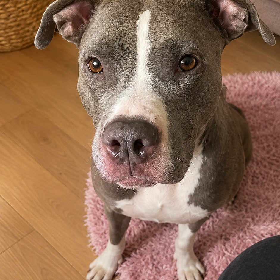 Luna