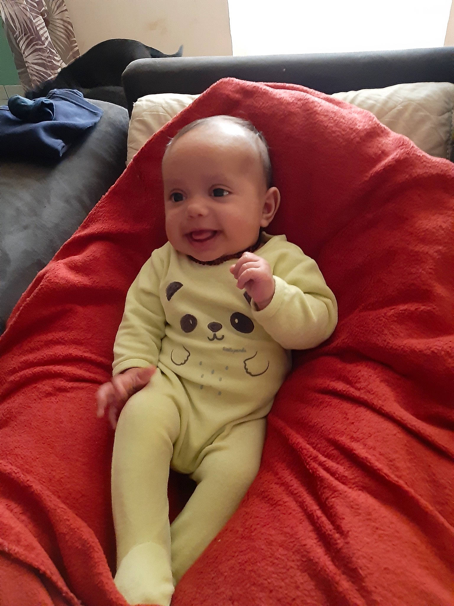 Leeroy a rejoint le concours — aidez-le/la à gagner de superbes lots ! baby, child, comfort, head, mouth, person, skin, toddler