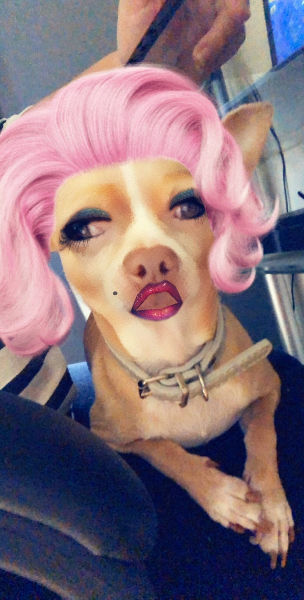 Hobby participe au concours pour gagner de l'argent avec cette photo : bangs, carnivore, chin, dress, ear, eye, eyebrow, eyelash, eyewear, headgear, iris, jaw, lip, makeover, mouth, nose, pink, red_hair, selfie, wig