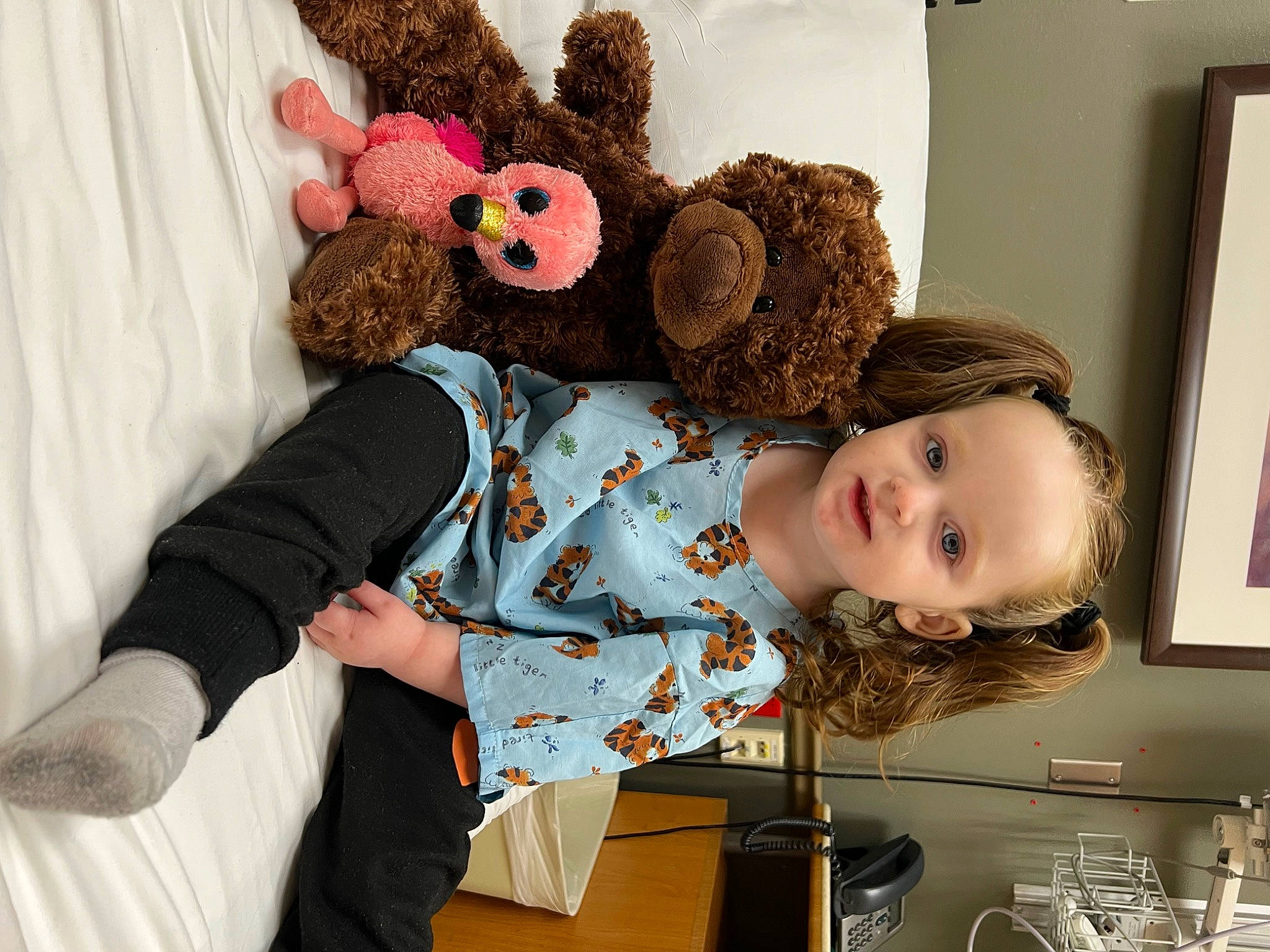 Charley is registered to the contest to win money with this photo: baby, baby_toddler_clothing, beanie, child, comfort, costume_hat, fur, happy, linens, pattern, person, picture_frame, plush, room, shelf, sitting, sleeve, stuffed_toy, t_shirt, toddler