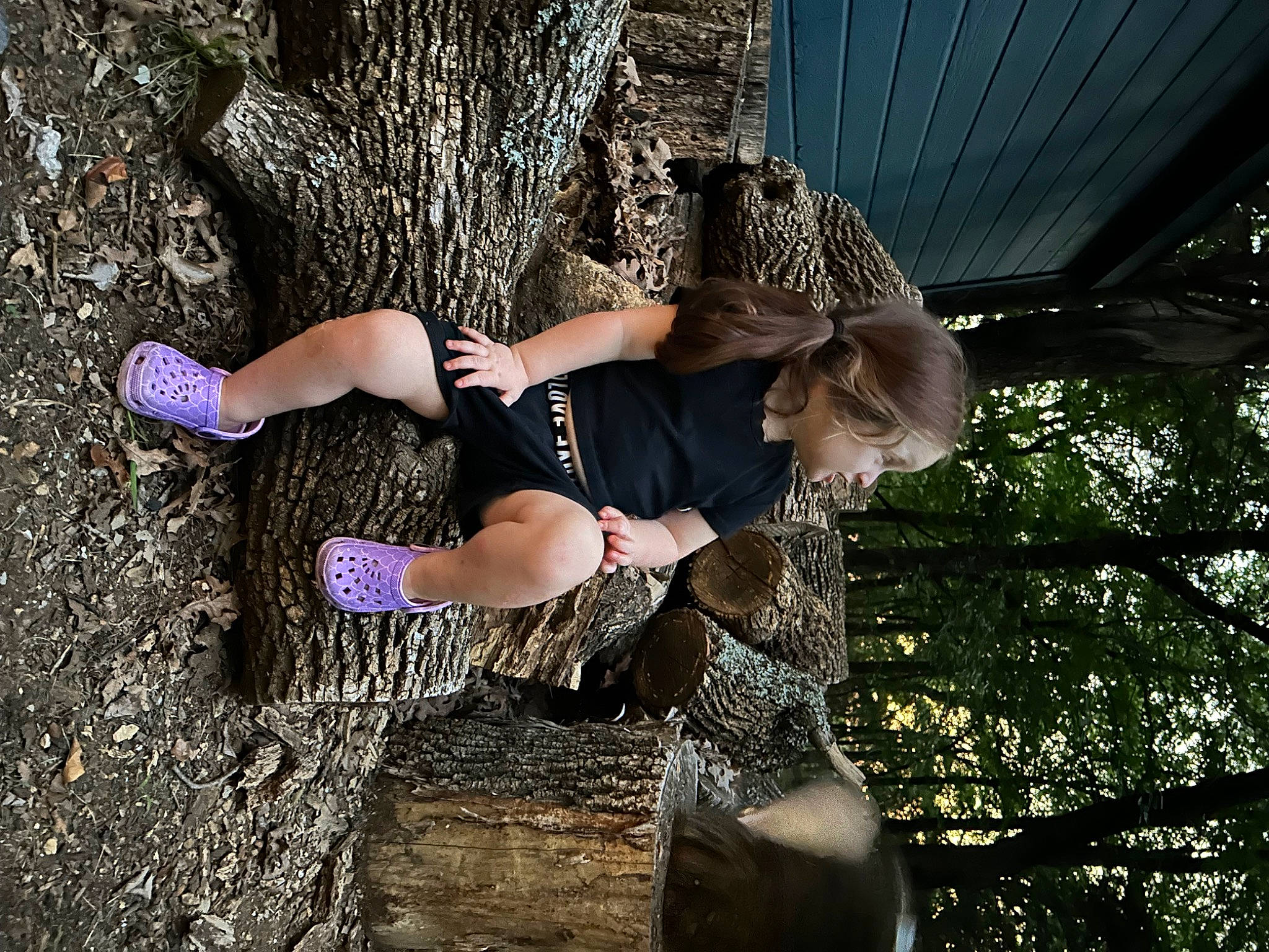 Charley joined the competition — help win amazing prizes! black_hair, boot, cool, eyewear, flash_photography, foot, forest, fun, grass, happy, human_leg, knee, leisure, long_hair, people_in_nature, person, thigh, tree, trunk, waist