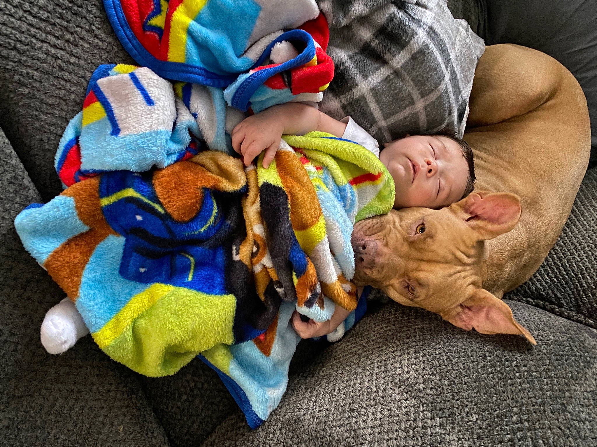 Keaton joined the competition — help win amazing prizes! baby, baby_products, baby_toddler_clothing, baby_toys, carmine, child, comfort, couch, electric_blue, fun, linens, person, plush, room, sitting, stuffed_toy, toddler, toy, wood, wool