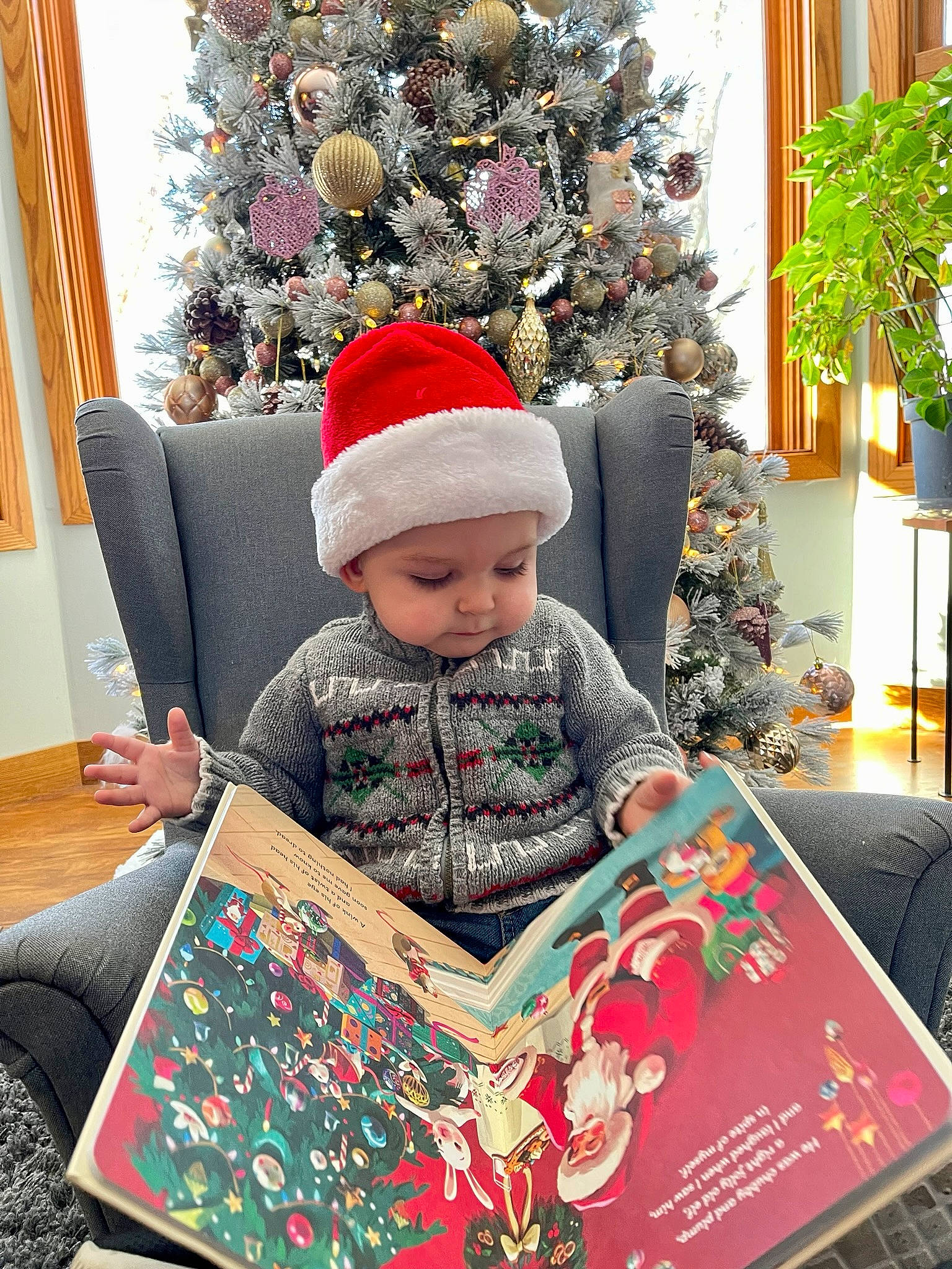 Timothy is registered to the contest to win money with this photo: baby_toddler_clothing, christmas, christmas_decoration, christmas_eve, christmas_ornament, christmas_tree, comfort, event, flowerpot, green, headwear, holiday, holiday_ornament, lap, people, person, plant, red, sleeve, snapshot