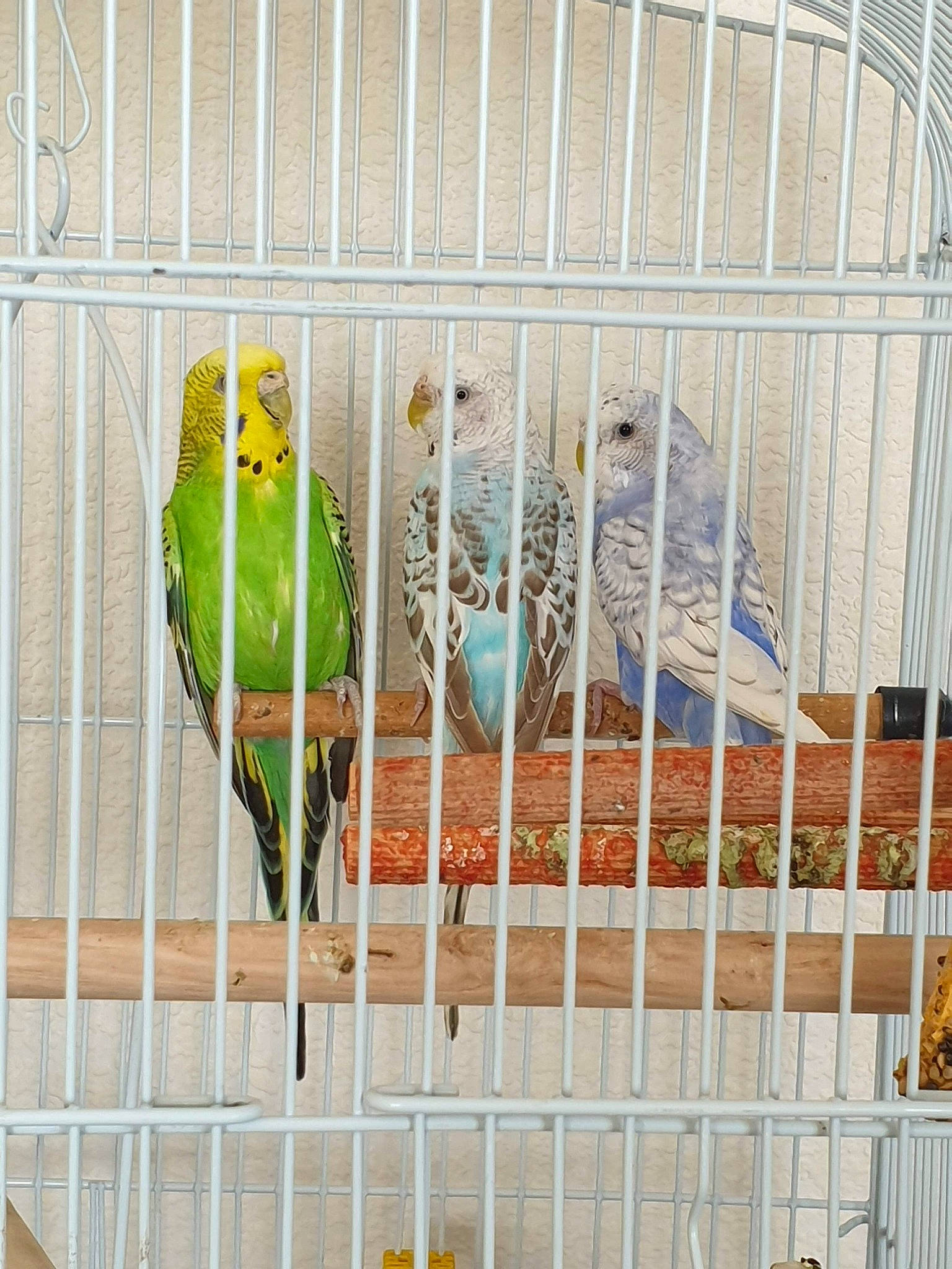 Pommeamourmignonnemignon