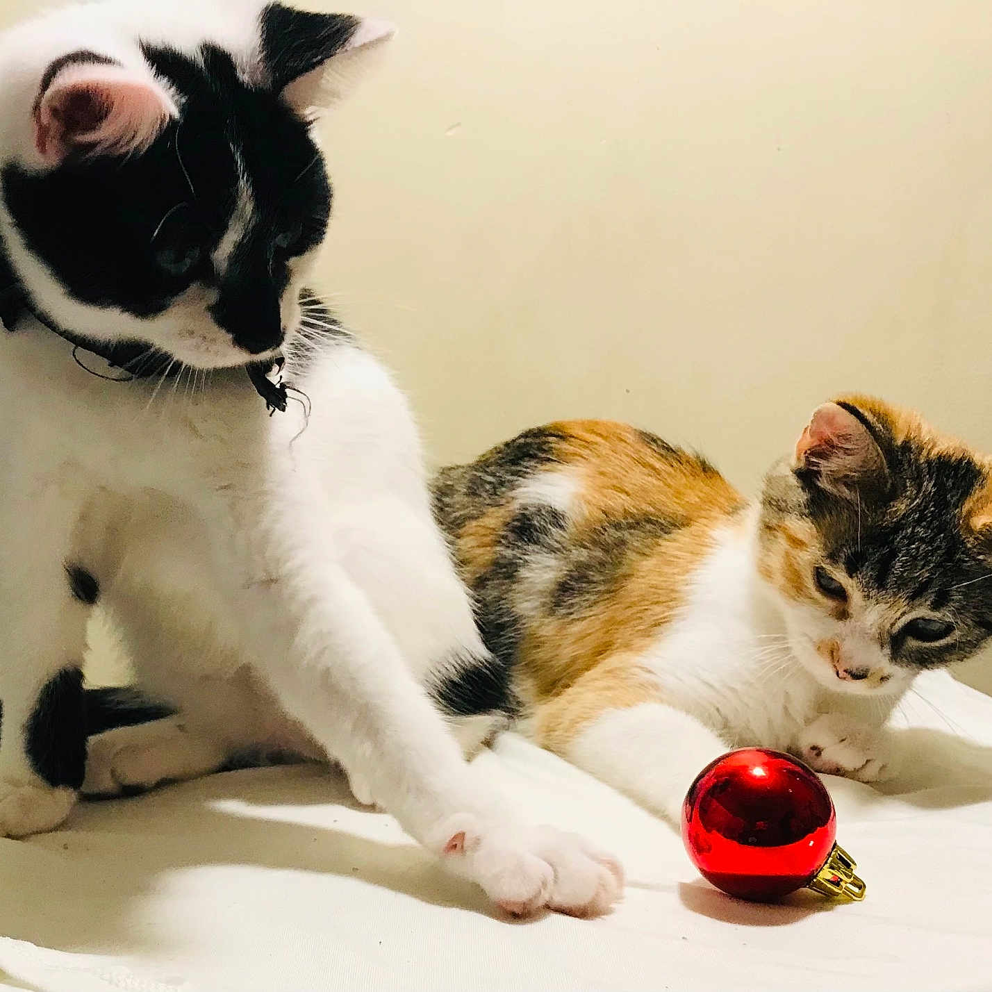 Peaches And Baz