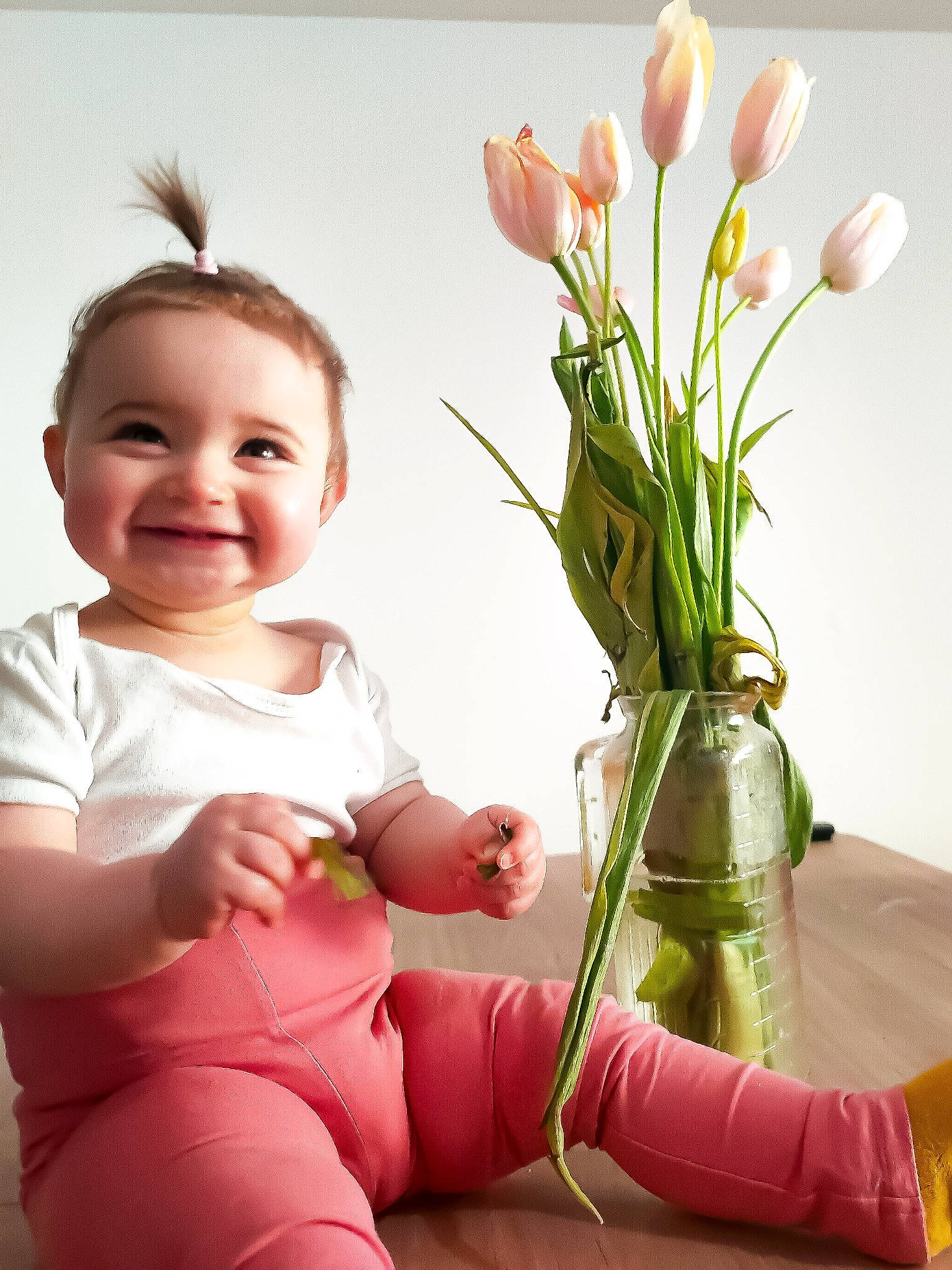 Madison participe au concours pour gagner de l'argent avec cette photo : artifact, baby_toddler_clothing, beauty, bouquet, creative_arts, cut_flowers, flower, flower_arranging, flowering_plant, grass, happy, human_leg, iris, joy, magenta, person, petal, pink, plant, smile