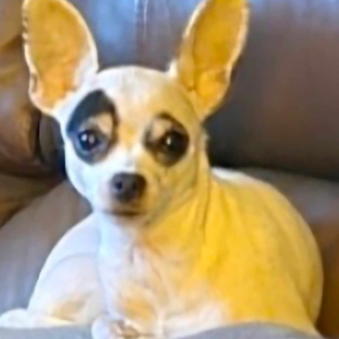 Pepper