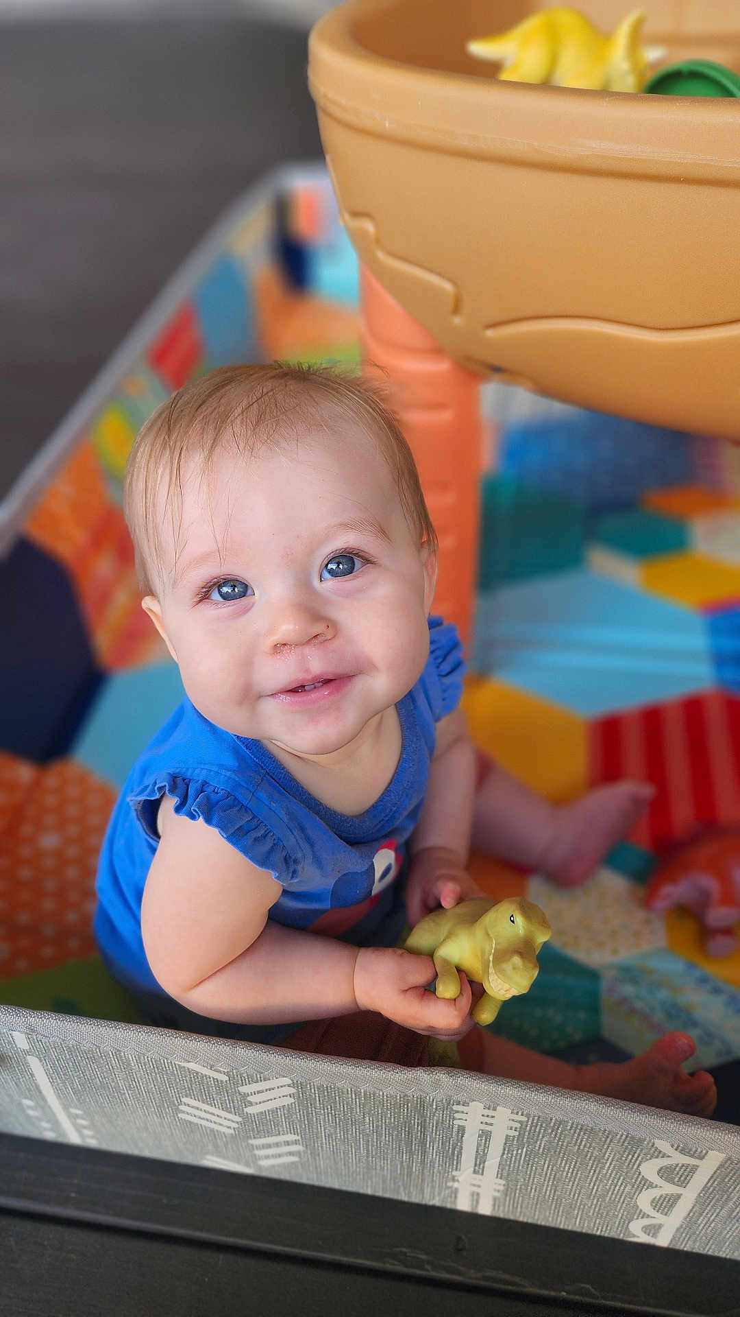 Alice is registered to the contest to win money with this photo: baby, child, blue_eyes, toy, dinosaur_toy, playpen, colorful, smiling, sitting, infant, cute, happy, indoor, clothing, blue_shirt, person, young_child, play, hand, face