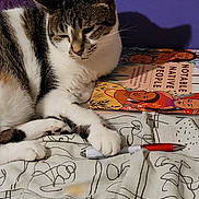 Steel joined the competition — help win amazing prizes! animal, bedspread, book, cat, closeup, colorful, domestic_cat, feline, illustration, indoor, patterned_fabric, paw, pen, purple_wall, relaxing, resting, sleepy, tabby, text, white_fur