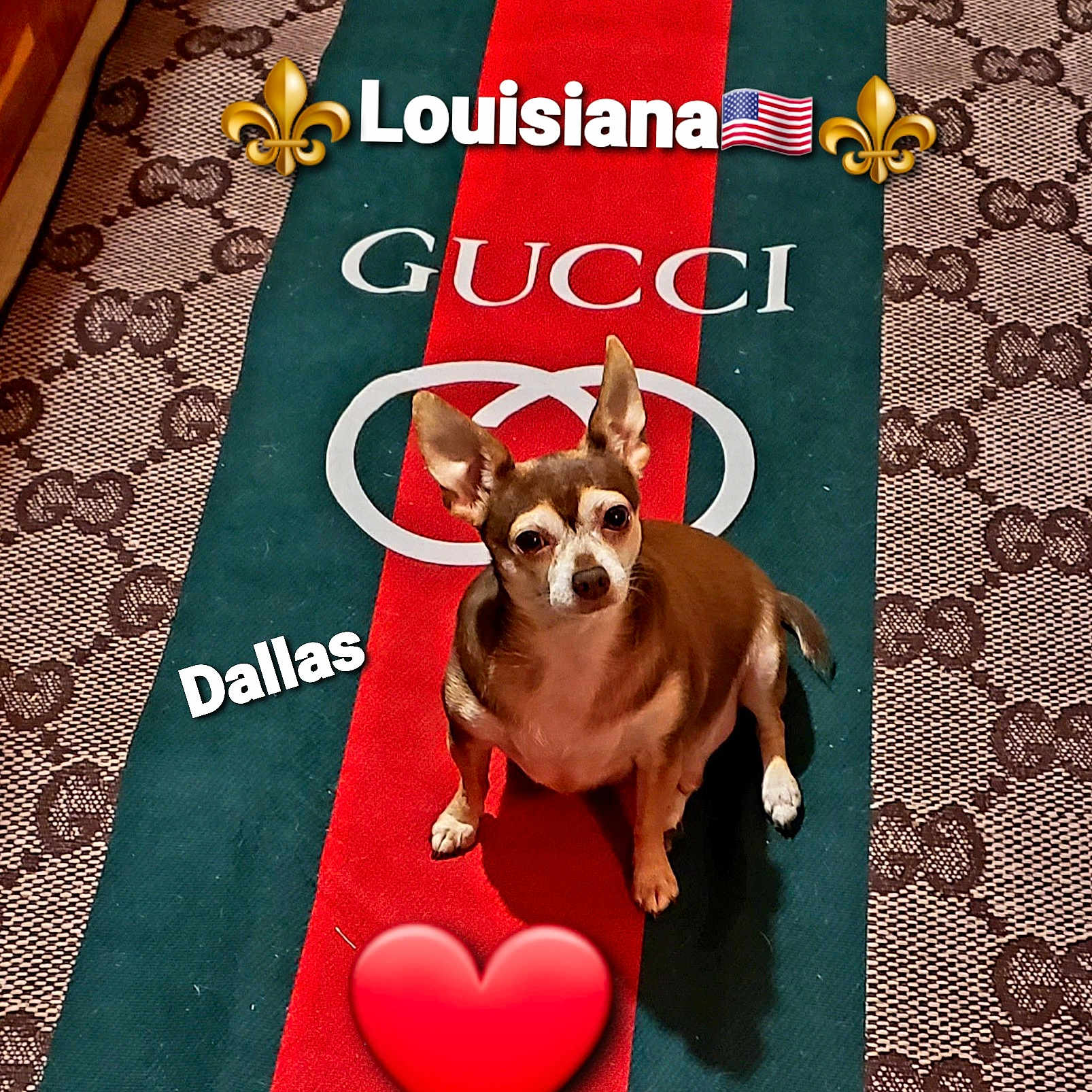 Dallas
