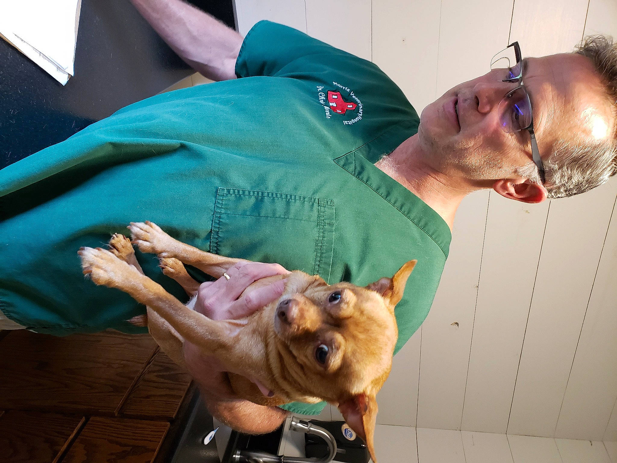 Luna joined the competition — help win amazing prizes! beard, canidae, carnivore, comfort, companion_dog, corgi_chihuahua, dog, dog_breed, elbow, eyewear, fawn, fun, hat, knee, lap, sitting, sporting_group, sunglasses, toy_dog, watch