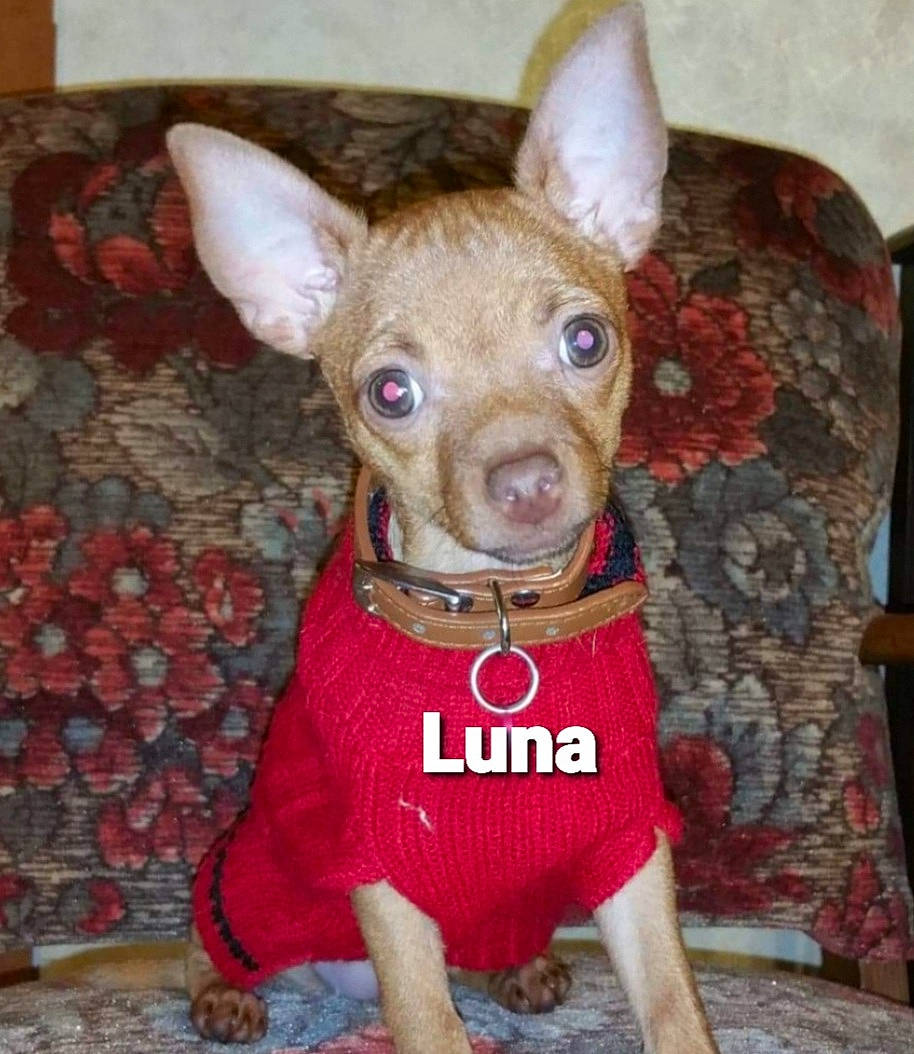 Luna
