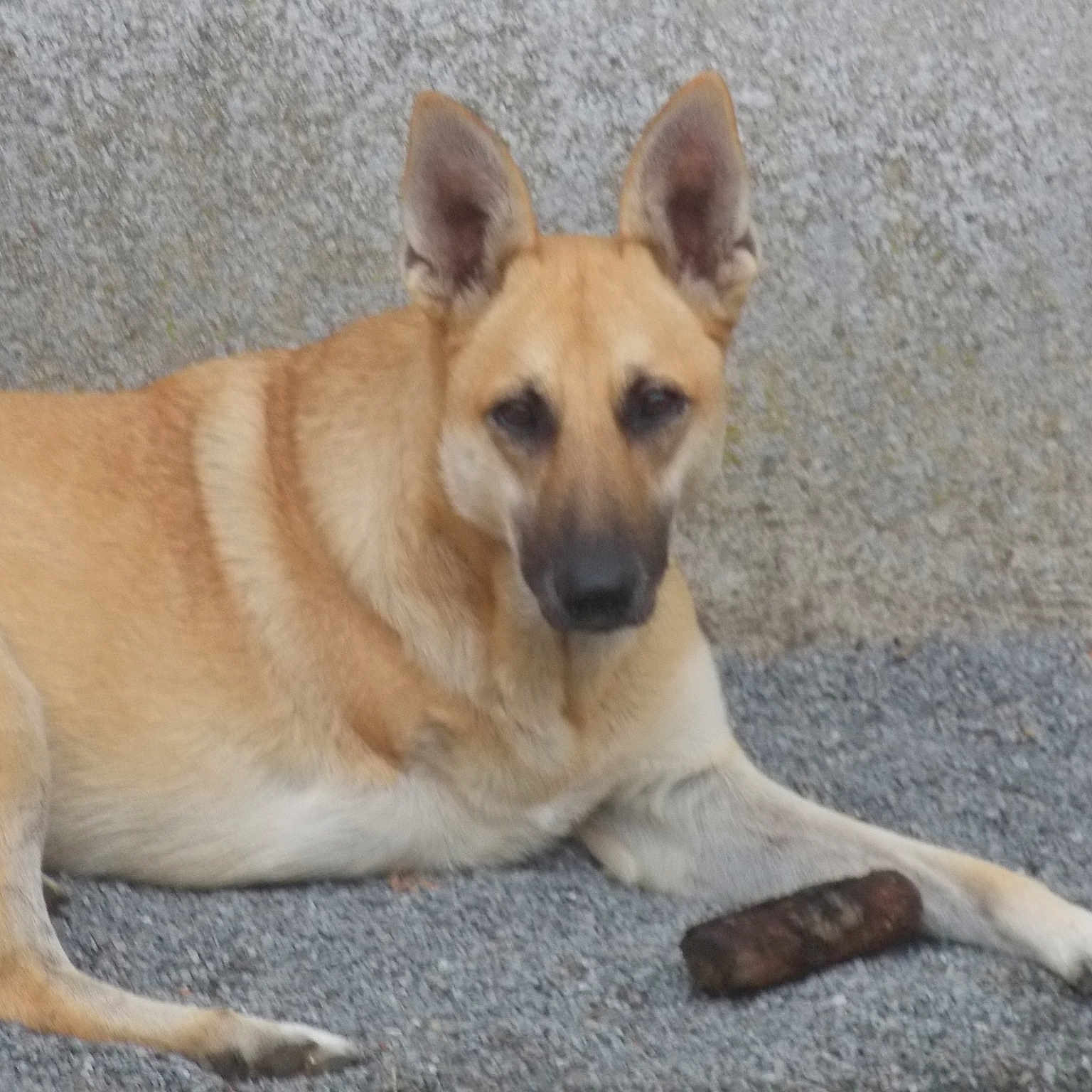 Missy .......Des Anges en Enfer