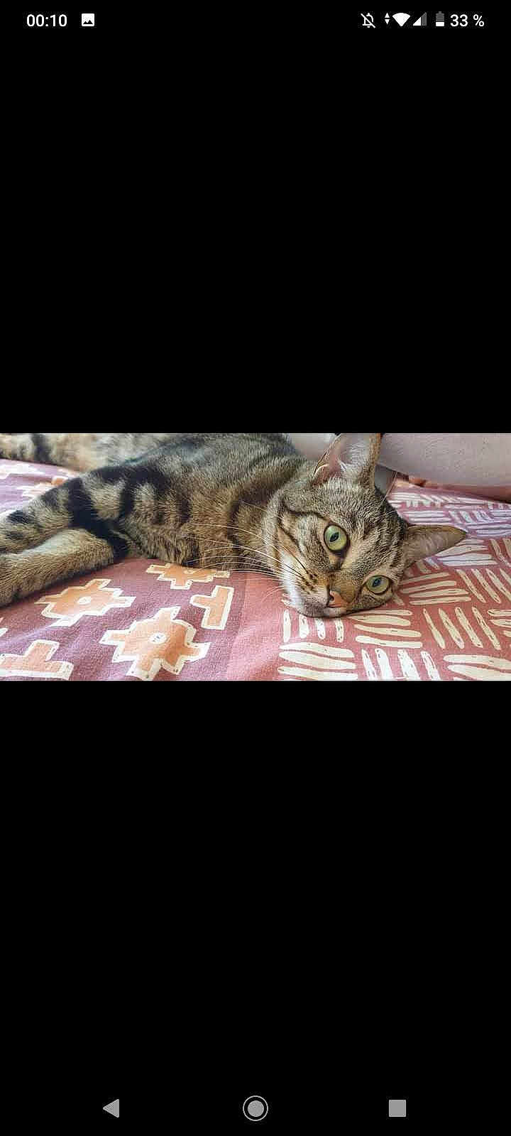 Sid