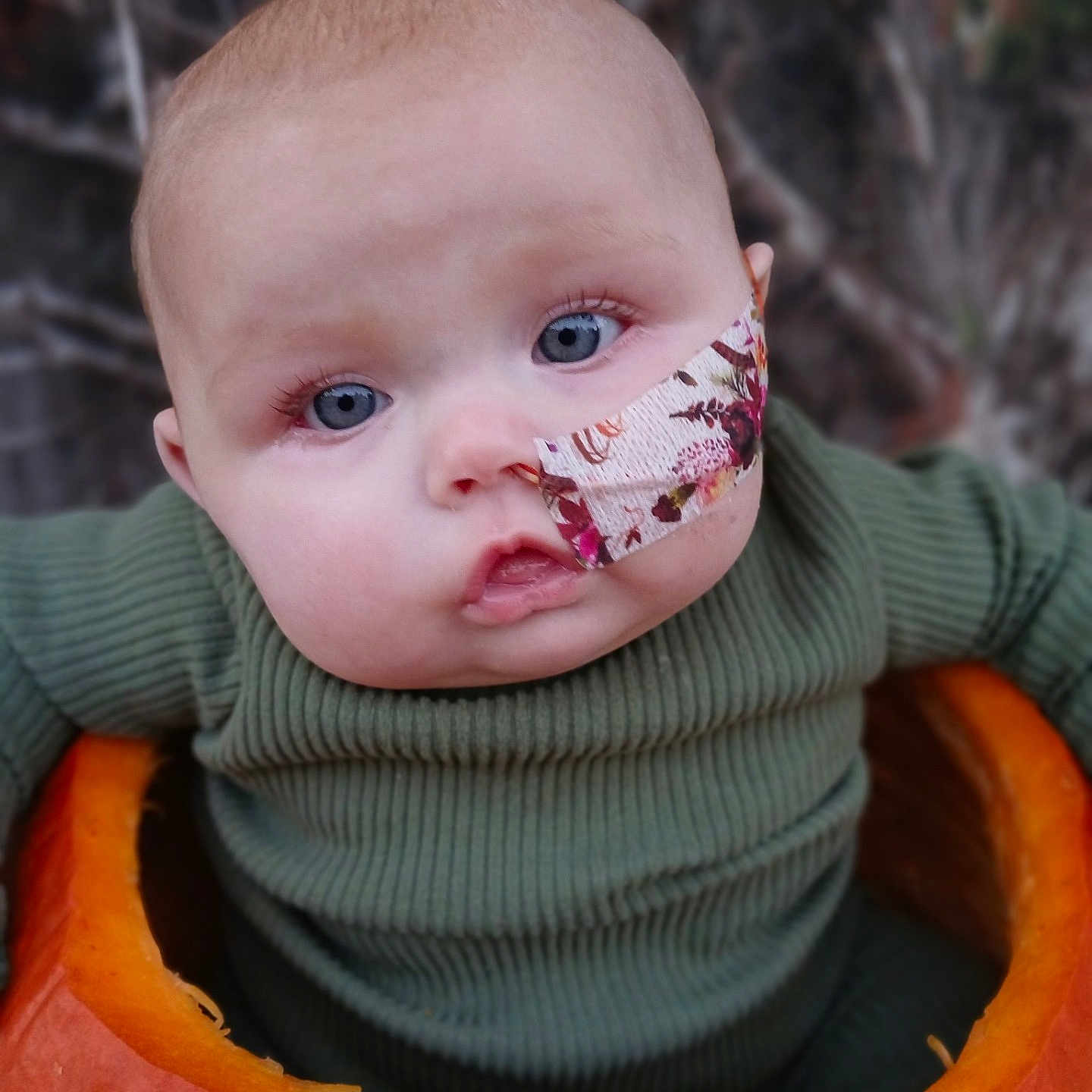 Harper Mae joined the competition — help win amazing prizes! baby, bodypart, clothing, eating, face, finger, food, hand, happy, head, knitwear, person, photography, plant, portrait, produce, pumpkin, smile, sweater, vegetable