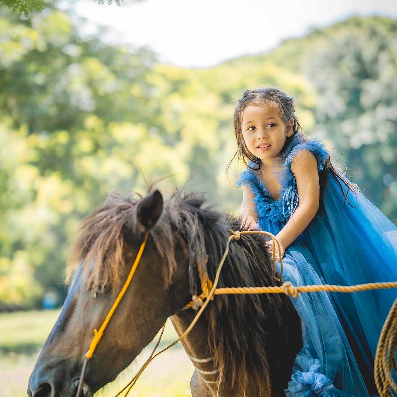 Stella Grace is registered to the contest to win money with this photo: animal, child, clothing, colthorse, dress, face, female, girl, head, horse, horsebackriding, leisureactivities, nature, outdoors, people, person, photography, plant, portrait, vegetation