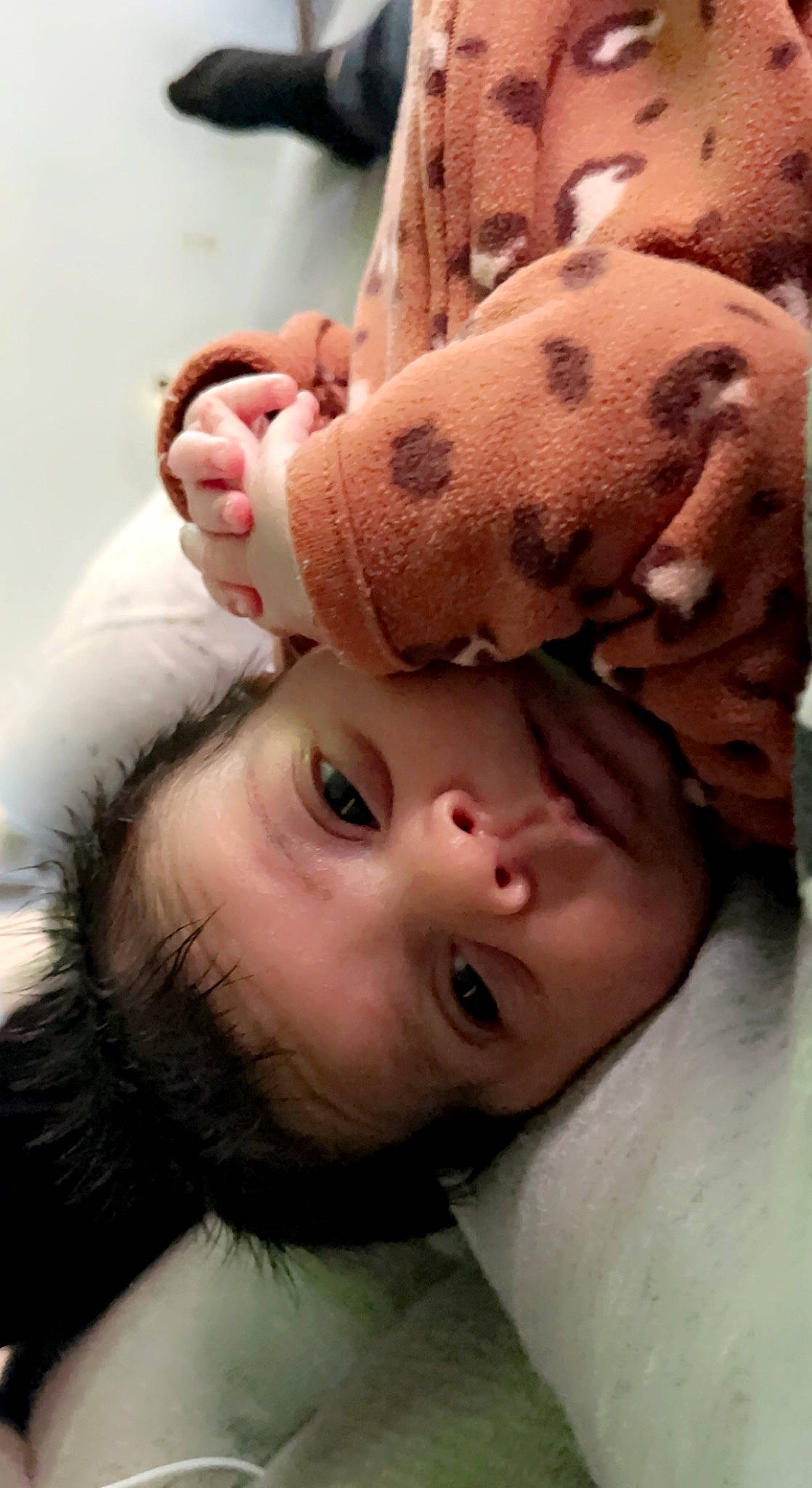 Alani joined the competition — help win amazing prizes! baby, cheek, chin, ear, eye, eyebrow, eyelash, fun, gesture, hair, happy, human_body, jaw, lip, mouth, nail, neck, nose, person, skin