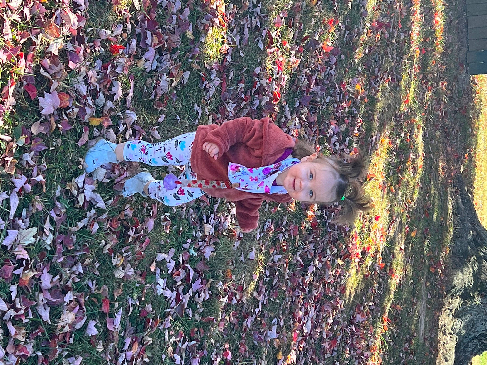 Raelynn is registered to the contest to win money with this photo: autumn, child, crowd, deciduous, electric_blue, fun, grass, happy, joy, leaf, leisure, people_in_nature, person, soil, toddler, tree, winter, wood, woody_plant