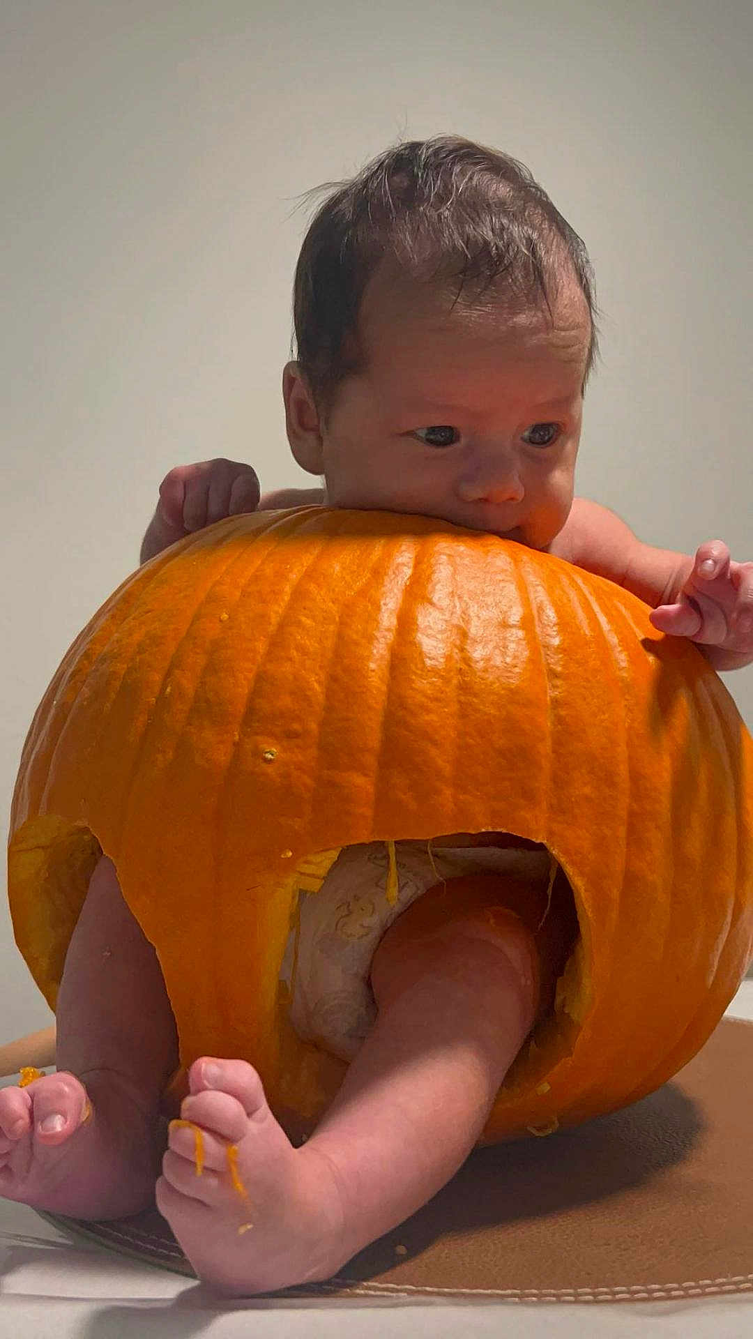 Isaiah joined the competition — help win amazing prizes! baby, pumpkin, diaper, feet, hands, face, orange, cute, infant, playful, hollow, chewing, messy, skin, toes, leg, indoor, table, holiday, halloween