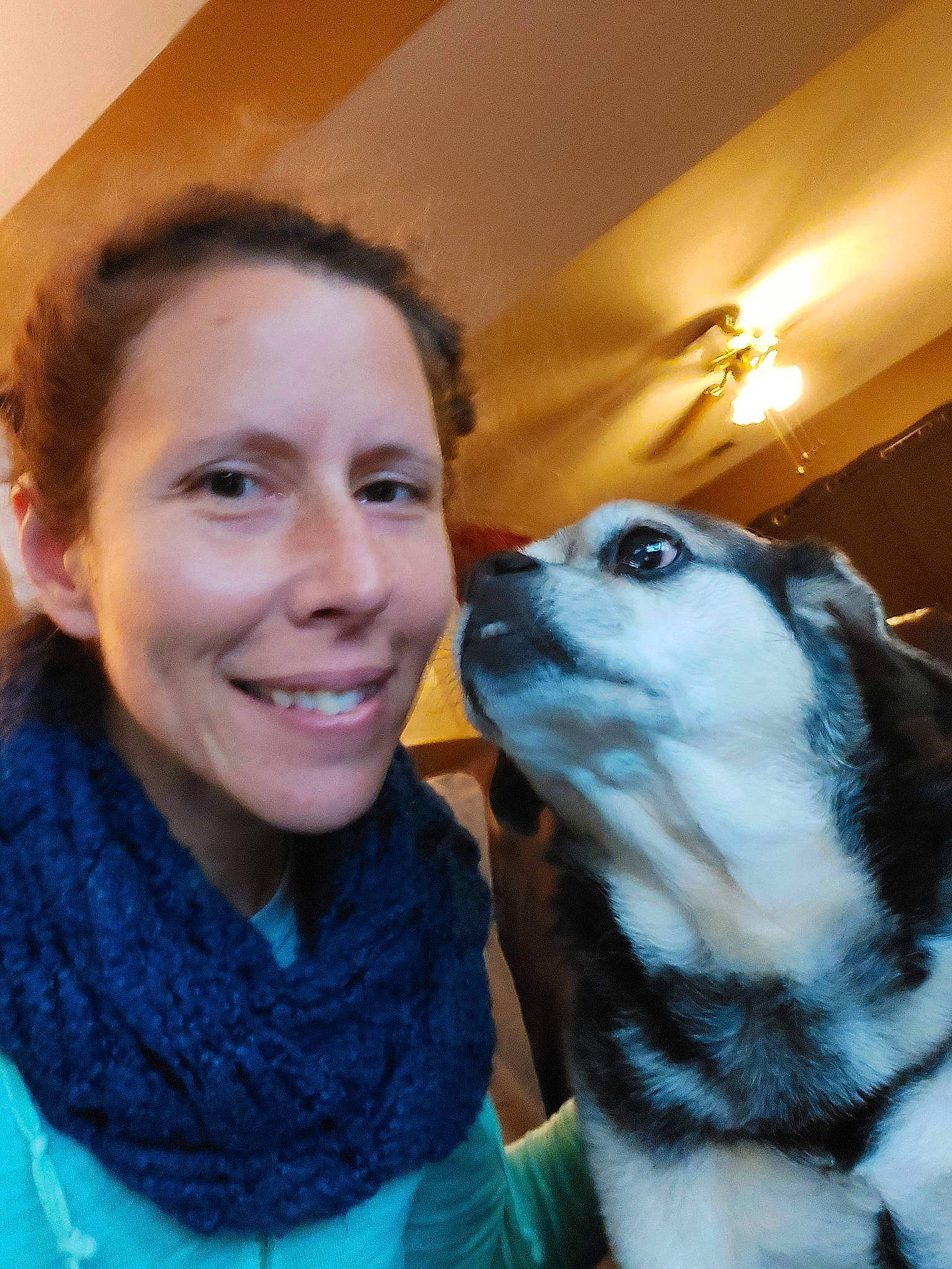 Jerry Lee is registered to the contest to win money with this photo: canidae, carnivore, companion_dog, dog_breed, electric_blue, fun, fur, happy, iris, jaw, neck, nose, organ, skin, smile, snout, sporting_group, terrestrial_animal, whiskers, wildlife_biologist