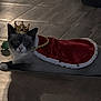 cat, crown, cape, royalty, pet, animal, indoor, floor, tile, costume, king, feline, portrait, domestic_cat, cute, resting, looking_at_camera, shadow, accessory, cute_pet