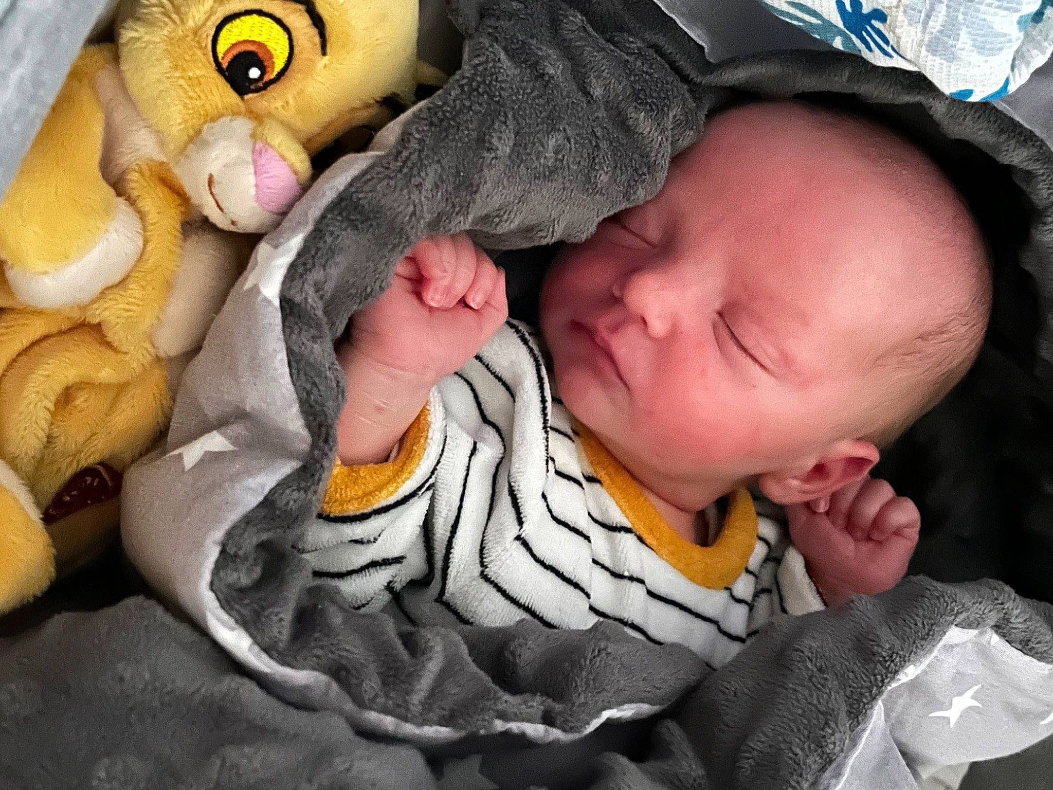 Loan participe au concours pour gagner de l'argent avec cette photo : baby, baby_products, baby_sleeping, baby_toddler_clothing, bedtime, cheek, child, comfort, fur, linens, mammal, nap, person, plush, product, skin, stuffed_toy, textile, toddler, toy