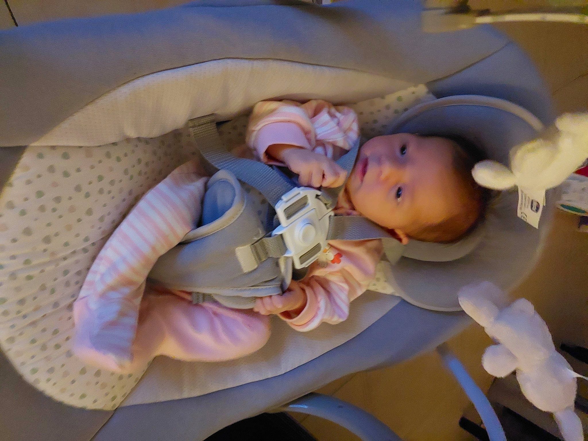 Lyne participe au concours pour gagner de l'argent avec cette photo : baby, baby_carriage, baby_products, baby_safety, baby_sleeping, baby_toddler_clothing, baby_toys, child, comfort, health_care, linens, mouth, nap, person, plastic, purple, room, skin, smile, toddler