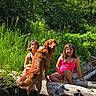 Grizzly joined the competition — help win amazing prizes! dog, golden_retriever, girl, child, swimsuit, log, creek, water, rocks, grass, trees, sunlight, outdoor, nature, summer, happy, smiling, pet, playful, friends