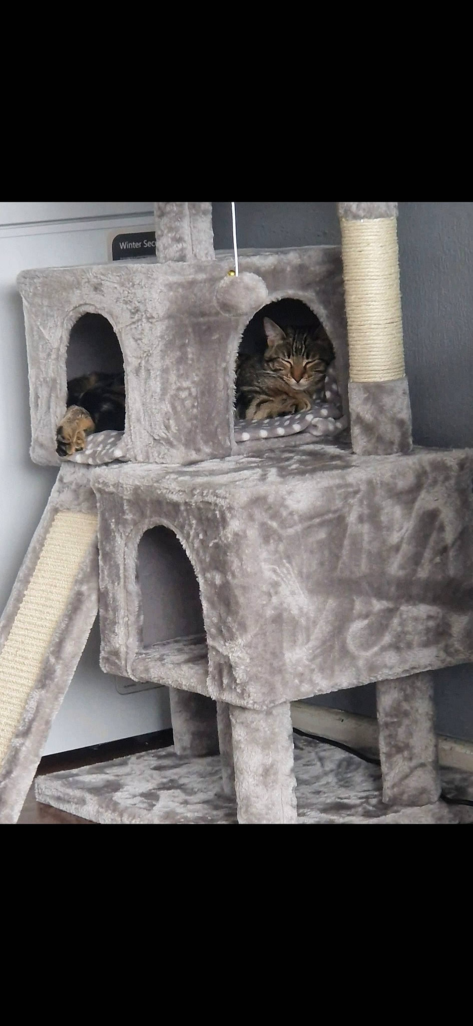 Tigress joined the competition — help win amazing prizes! arch, art, brick, brickwork, building, cement, chair, font, history, holy_places, house, monochrome, monochrome_photography, natural_material, pattern, rectangle, room, still_life_photography, window, wood