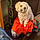 Charley