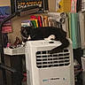 cat, black_and_white_cat, air_conditioner, indoor, books, folders, office_supplies, cluttered_room, resting_cat, pet, household, relaxed, curious, furniture, desk_lamp, poster, storage, papers, technology, domestic