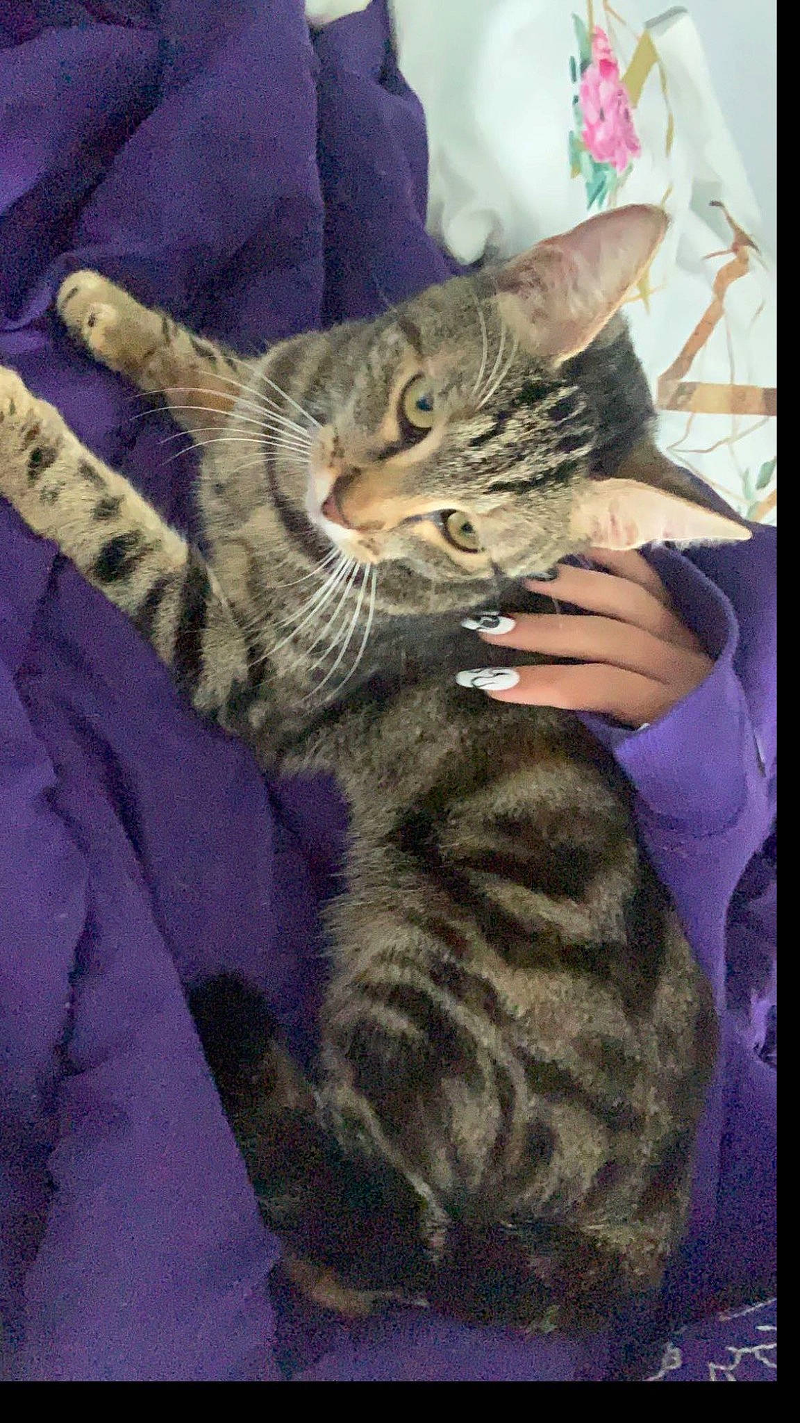 Nala