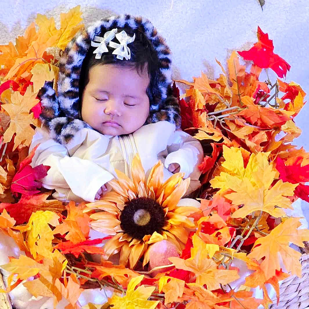 Skyla joined the competition — help win amazing prizes! autumn_leaves, baby, basket, child, cozy_clothing, cute, decorative_leaves, fall, headwear, indoor, infant, nature_theme, peaceful, portrait, resting, seasonal, sleeping, soft_lighting, sunflower, white_jacket