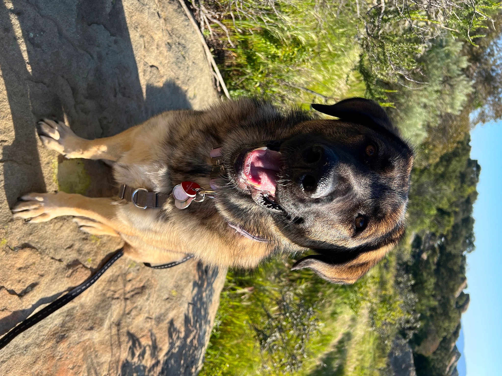 Suki